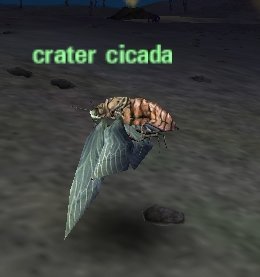 Picture of Crater Cicada
